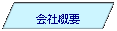 ���s�l�ӌ`: ��ЊT�v
