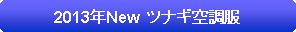 �p�ێl�p�`: 2013�NNew  �c�i�M�󒲕�
