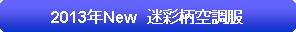 �p�ێl�p�`: 2013�NNew�@���ʕ��󒲕�