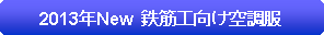 �p�ێl�p�`: 2013�NNew  �S�؍H�����󒲕�