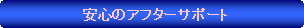 �p�ێl�p�`: �@���S�̃A�t�^�[�T�|�[�g
