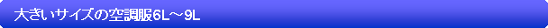 pێlp`: @傫TCY̋󒲕6L`9L