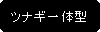 �p�ێl�p�`: �c�i�M��̌^