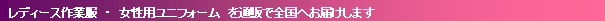 eLXg {bNX: @fB[Xƕ@E@pjtH[@ʔ̂őSւ͂܂