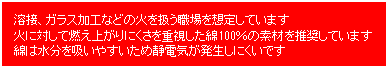 �e�L�X�g �{�b�N�X: �@�n�ځA�K���X���H�Ȃǂ̉΂������E���z�肵�Ă��܂��@�΂ɑ΂��ĔR���オ��ɂ������d��������100���̑f�ނ𐄏����Ă��܂��@�Ȃ͐������z���₷�����ߐÓd�C���������ɂ����ł�