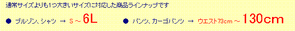�p�ێl�p�`: �I�v�V�����i�̂��ē�