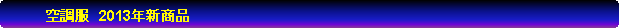 �p�ێl�p�`: �@�@�@�@�󒲕��@2013�N�V���i