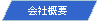 ���s�l�ӌ`: ��ЊT�v