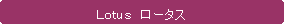 �p�ێl�p�`: �k���������@���[�^�X�@
