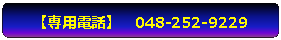 �p�ێl�p�`: �y��p�d�b�z�@048-252-9229