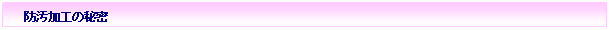 �e�L�X�g �{�b�N�X: �@�@�h�����H�̔閧